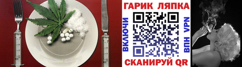 Cannafood конопля  наркошоп  Асино 