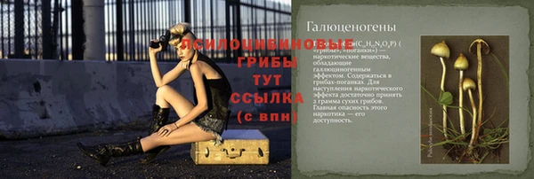 твердый Алексеевка