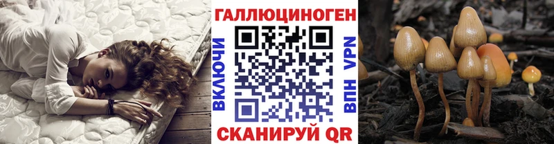 Галлюциногенные грибы Psilocybine cubensis  хочу   Асино 
