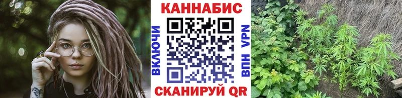 Шишки марихуана план  закладка  Асино 